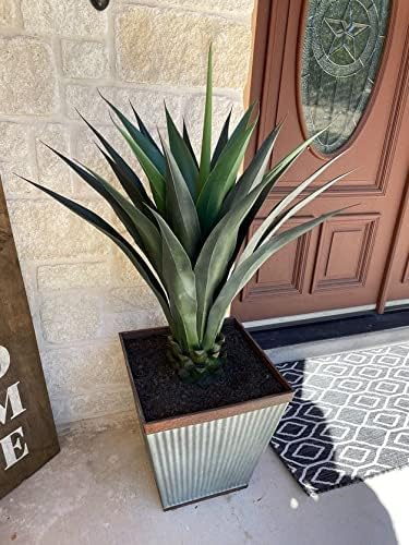 Amazon.com: One 41 inch Indoor or Outdoor Artificial Sisal